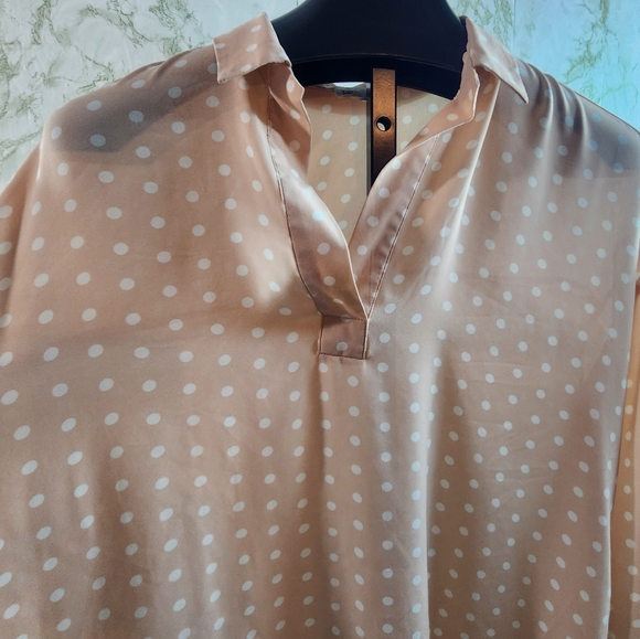 DR2 Polka Dot Vneck Blouse - Picture 3 of 10